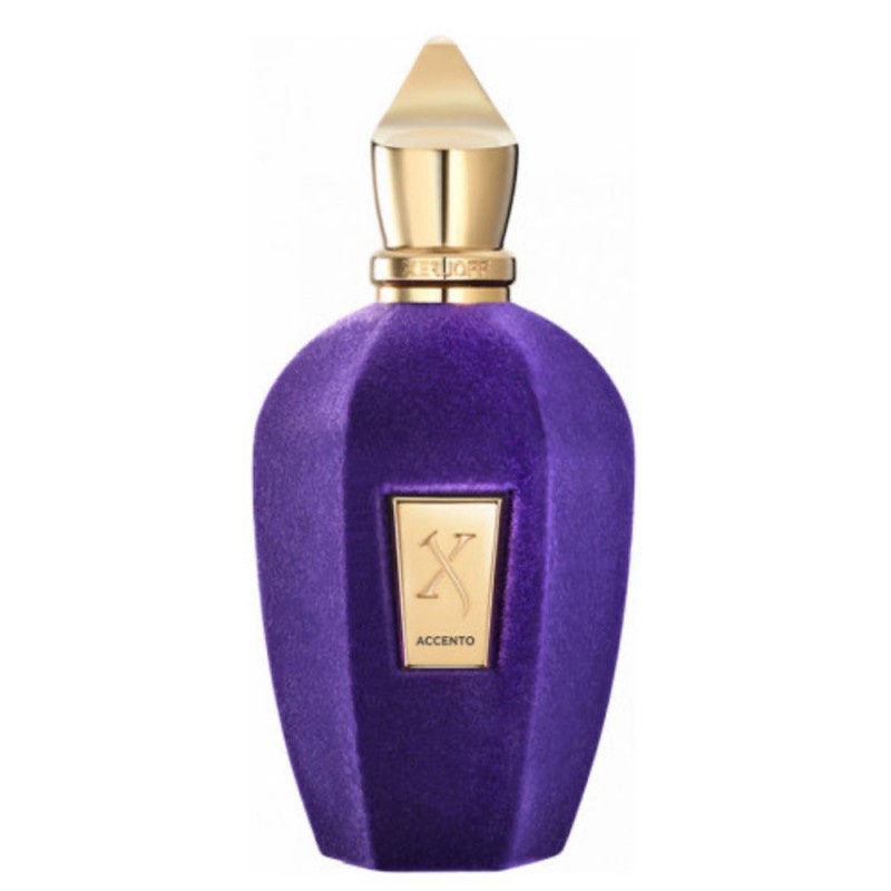 Парфюм Xerjoff Accento Eau de Parfum 100 мл (люкс копия)