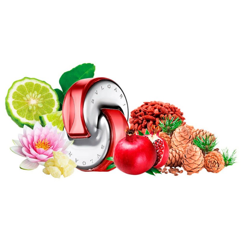 Концентрат CORAL BEACH (Альтернатива Bvlgari Omnia Coral) 100 мл