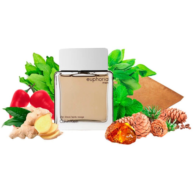 Концентрат UPBEAT (Альтернатива Calvin Klein Euphoria Men) 100 мл