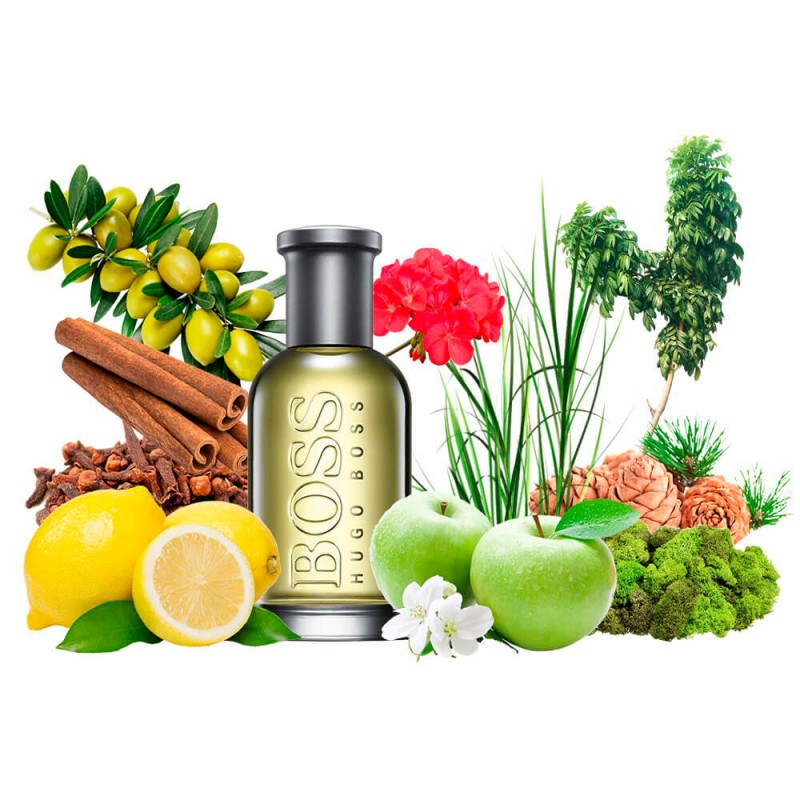 Концентрат CHIEF (Альтернатива Hugo Boss Boss № 6 Bottled) 100 мл