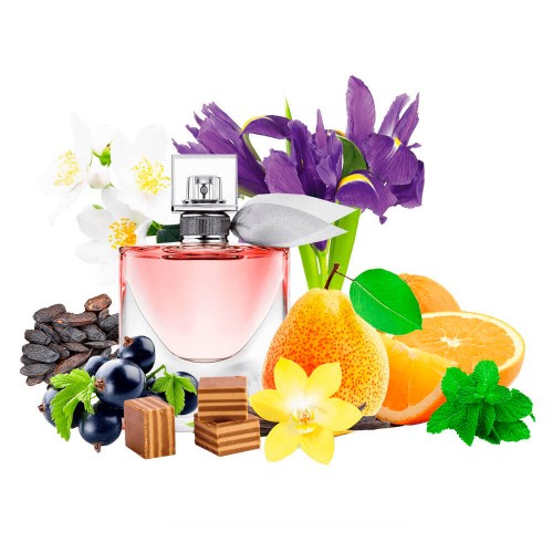 Концентрат NICE LIFE (Альтернатива Lancome La Vie Est Belle) 100 мл