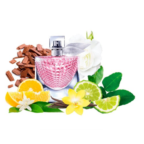 Концентрат NICE LIFE ECLAT (Альтернатива Lancome La Vie Est Belle LEclat) 100 мл