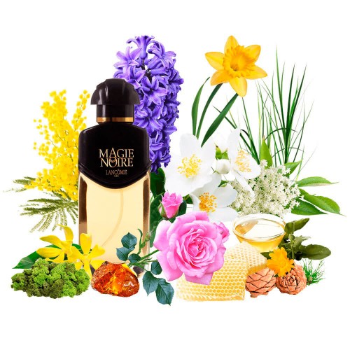 Концентрат BLACK MAGIC (Альтернатива Lancome Magie Noire) 100 мл