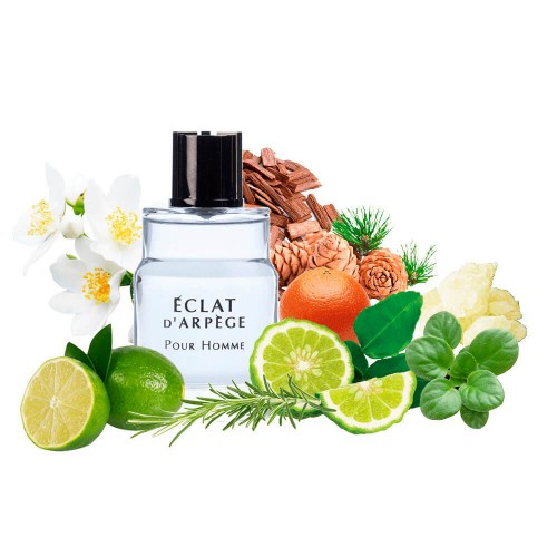 Концентрат ECOL HOMME (Альтернатива Lanvin ECLAT D`ARPEGE POUR HOMME) 100 мл