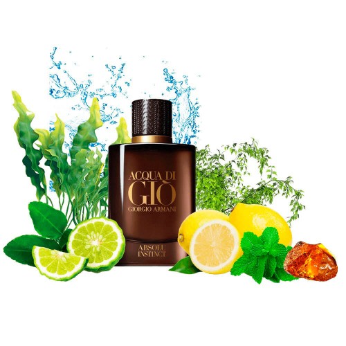 Концентрат AQUA INSTINCT (Альтернатива Giorgio Armani Acqua di Gio Absolu Instinct) 100 мл