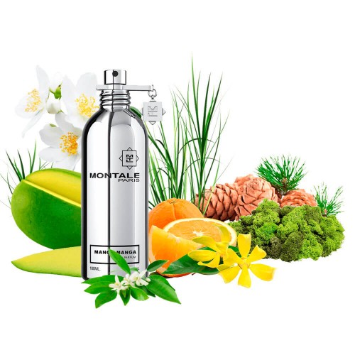 Концентрат MANGO BOOST (Альтернатива Montale Mango Manga) 100 мл