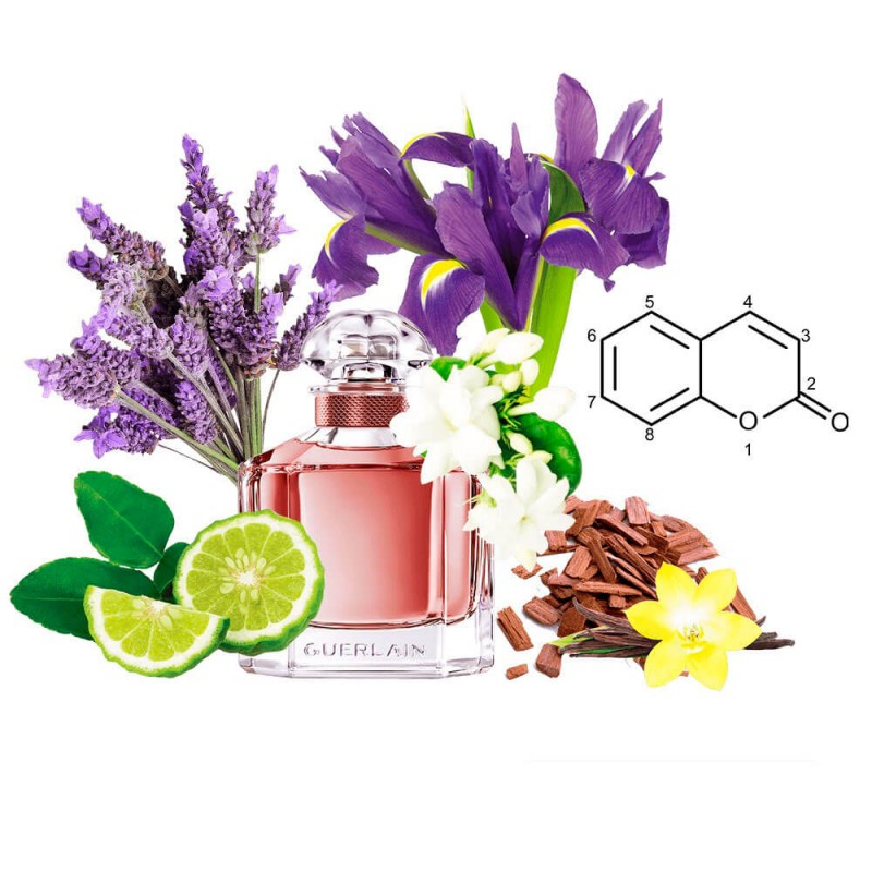Концентрат MODERN ME (Альтернатива Guerlain Mon Guerlain) 100 мл