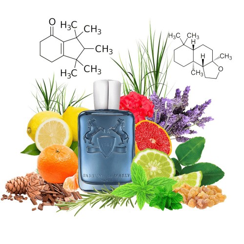 Концентрат SEDSENCE (Альтернатива Parfums de Marly Sedley) 100 мл