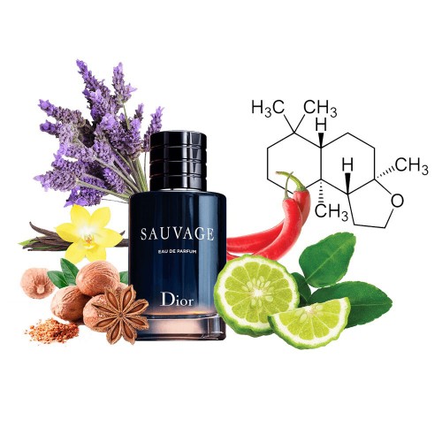 Концентрат WILDER PARFUM (Альтернатива Christian Dior Sauvage Eau de Parfum) 100 мл