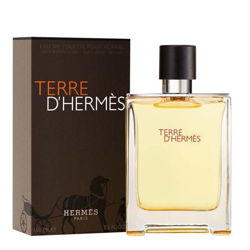 Парфум Hermes Terre D'Hermes Eau de Toilette 100 мл VIP (примяті коробки)(люкс копія)