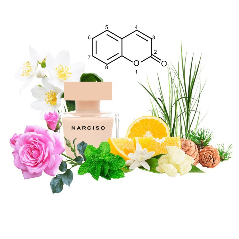 Концентрат POUDRE DE FLEURS (Альтернатива Narciso Rodriguez Narciso Poudree) 100 мл