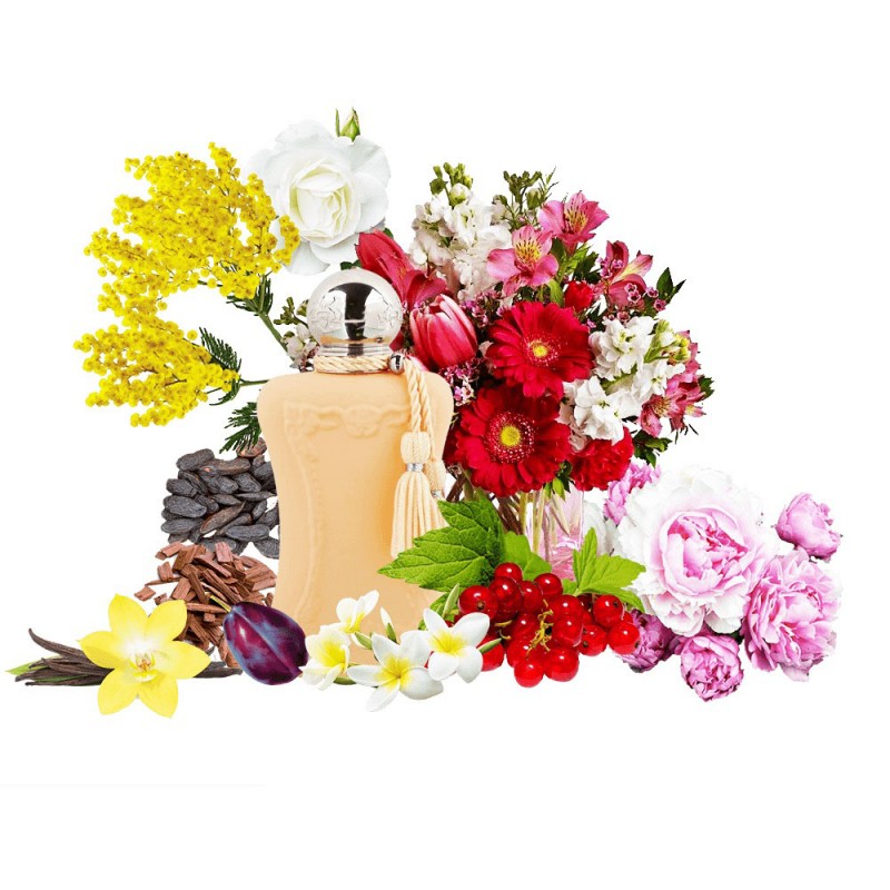 Концентрат MARCASIL (Альтернатива Parfums de Marly Cassili) 100 мл
