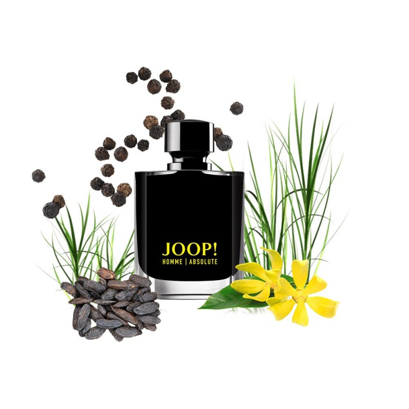 Концентрат DOWNTOWN ABSOLUTE (Альтернатива Joop! Homme Absolute) 100 мл