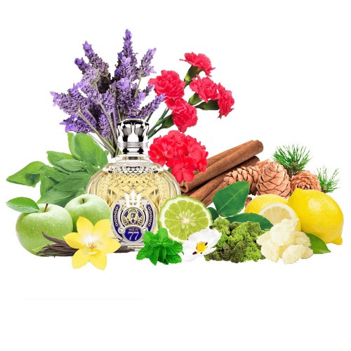 Концентрат ARABIAN (Альтернатива Shaik Opulent Blue №77) 100 мл
