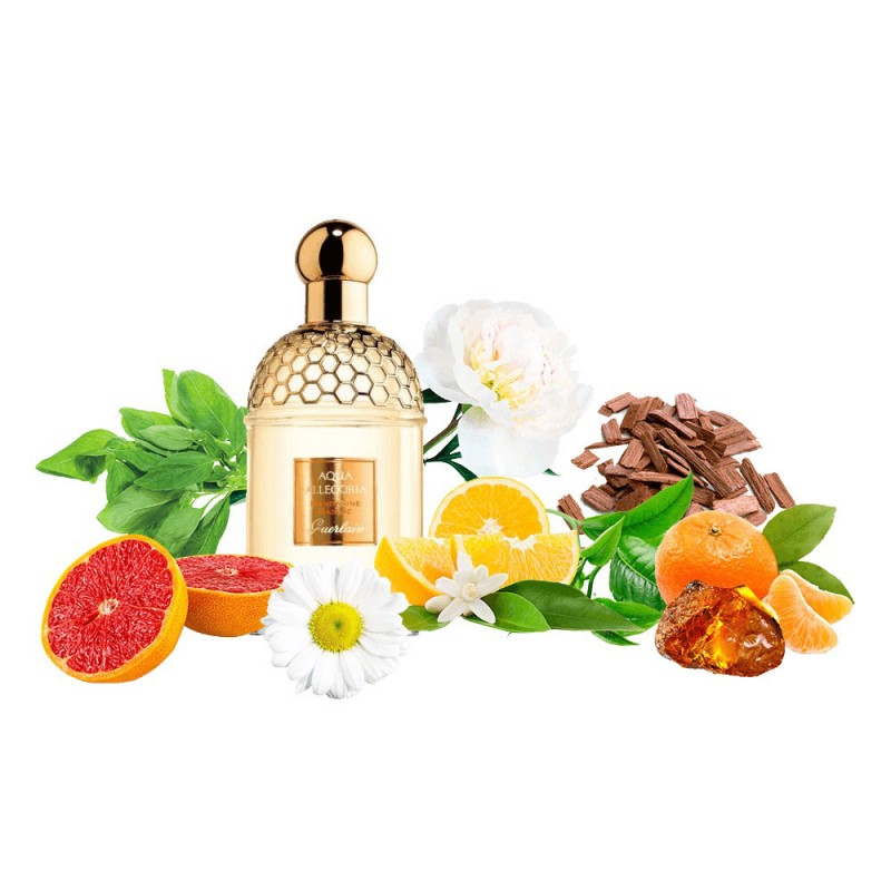 Концентрат AQVA PASSIFLORA (Альтернатива Guerlain Aqua Allegoria Passiflora) 100 мл