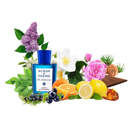Концентрат MEDITERRENAN BREE (Альтернатива Acqua di parma Blu Mediterraneo Mirto di Panarea) 100 мл