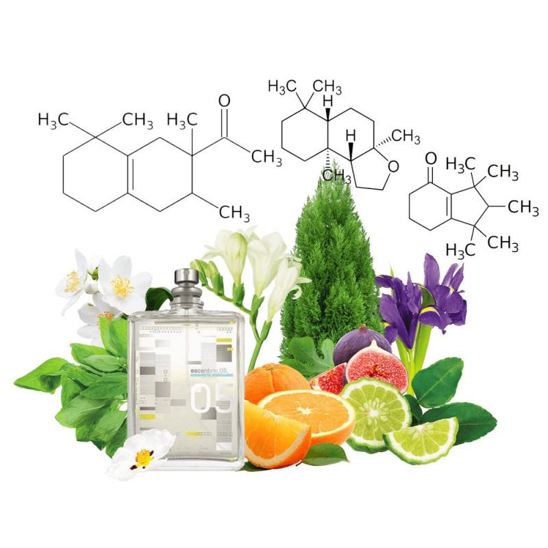 Концентрат ESE 5 (Альтернатива Escentric Molecules Escentric 05) 100 мл