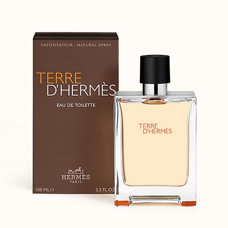 Парфум аналог Hermes Terre D`Hermes 100 мл O пом’ята упаковка  (копія парфумів)