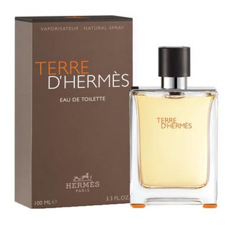 Парфум Hermes Terre D'Hermes 100 мл (люкс копія)