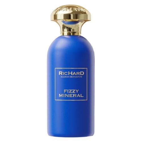 Парфум Richard Fizzy Mineral 100 мл (K) (люкс копія)