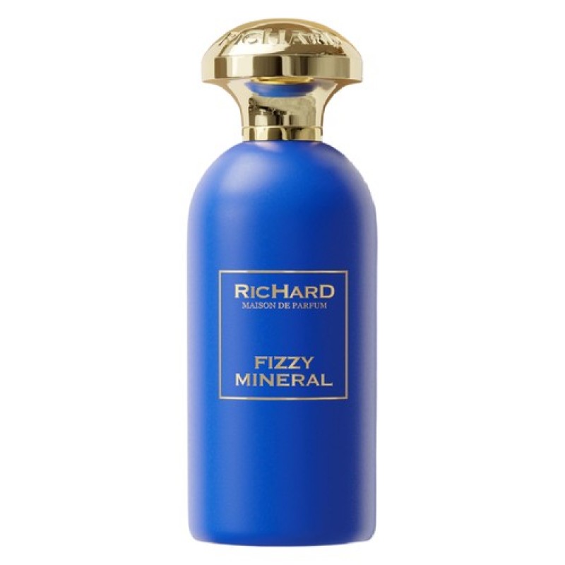 Парфюм Richard Fizzy Mineral 100 мл (K) (люкс копия)