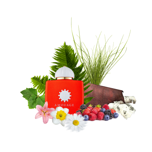 Концентрат LUMINIOUS HERBS (Альтернатива AMOUAGE-BRACKEN ) 100 мл