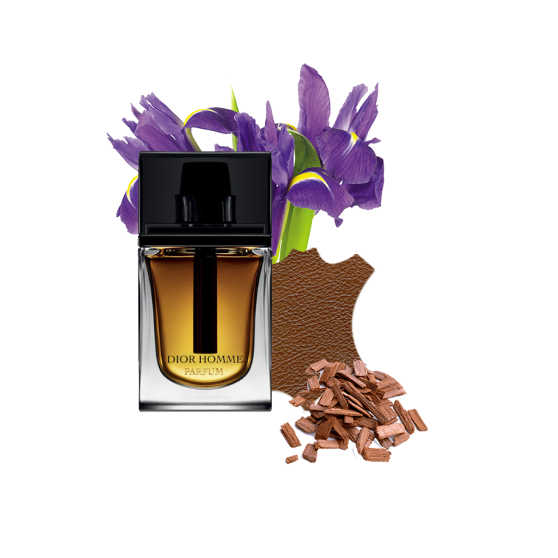 Концентрат ROD HOME (Альтернатива CHRISTIAN DIOR- DIOR HOMME PARFUM) 100 мл