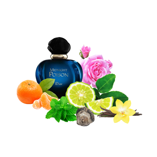 Концентрат DWARF HOUR (Альтернатива CHRISTIAN DIOR- MIDNIGHT POISON EAU DE PARFUM) 100 мл