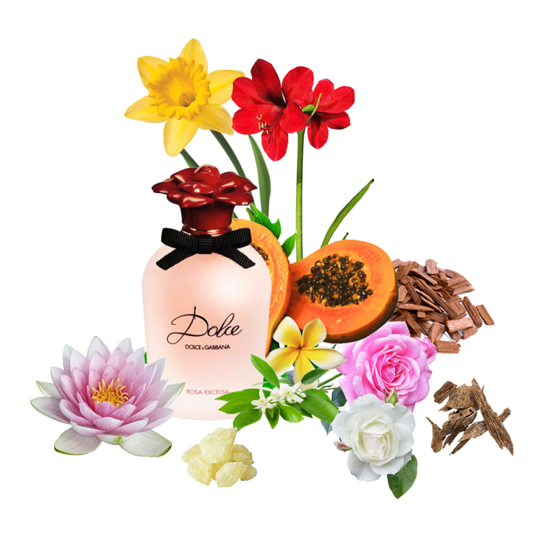 Концентрат ROSE IN BLOM (Альтернатива DOLCE&GABBANA-DOLCE ROSA EXCELSA) 100 мл