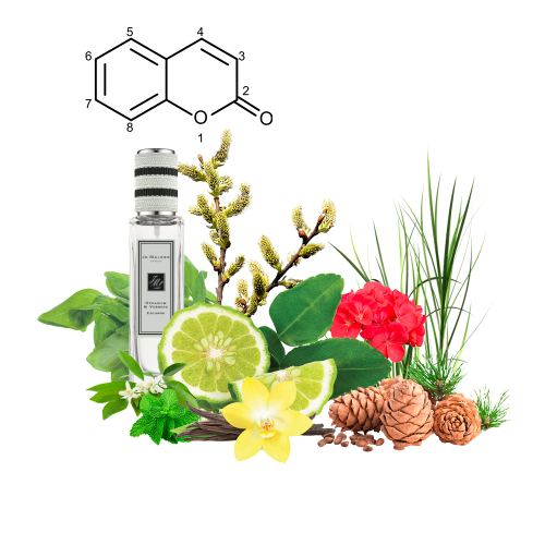 Концентрат JOIE VERT (Альтернатива JO MALONE-GERANIUM & VERBENA ) 100 мл