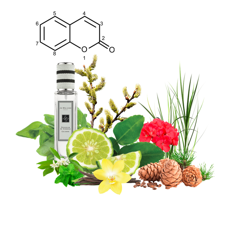 Концентрат JOIE VERT (Альтернатива JO MALONE-GERANIUM & VERBENA ) 100 мл