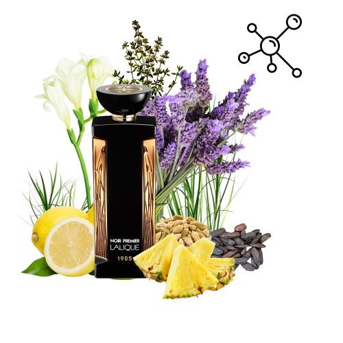 Концентрат MODERN AROMA (Альтернатива LALIQUE-TERRES AROMATIQUES 1905) 100 мл