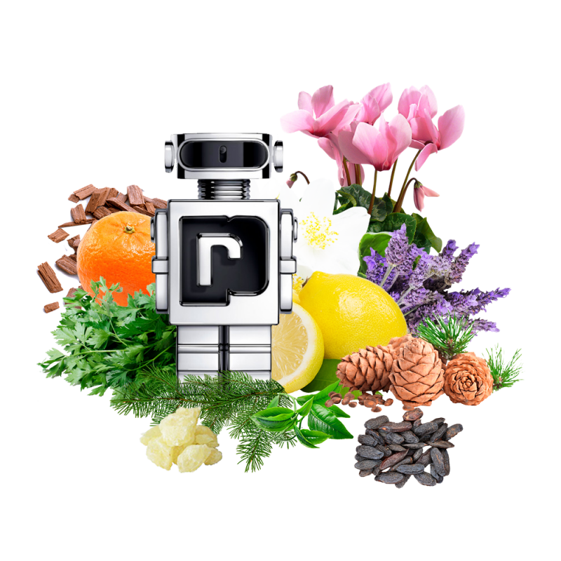 Концентрат PHANTOMIC (Альтернатива PACO RABANNE-PHANTOM) 100 мл
