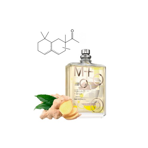 Концентрат  GINGER ONE  (Альтернатива ESCENTRIC MOLECULES-MOLECULE 01 + GINGER ) 100 мл