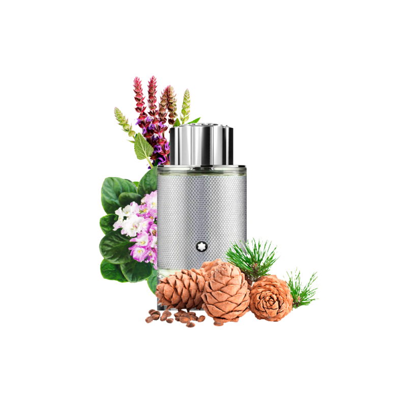 Концентрат ENERGIC DISCOVERY (Альтернатива MONTBLANC EXPLORER PLATINUM ) 100 мл