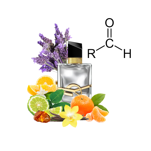 Концентрат LIBERTY PLATINE  (Альтернатива YVES SAINT LAURENT LIBRE L'ABSOLU PLATINE  ) 100 мл