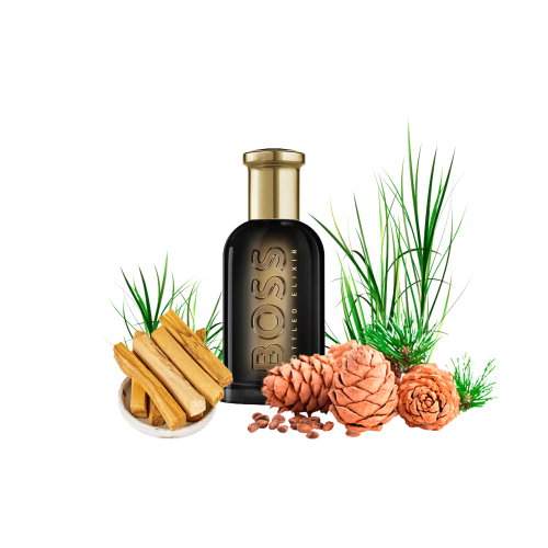 Концентрат CHIEF ELIXIR (Альтернатива hugo boss bottled elixir) 100 мл