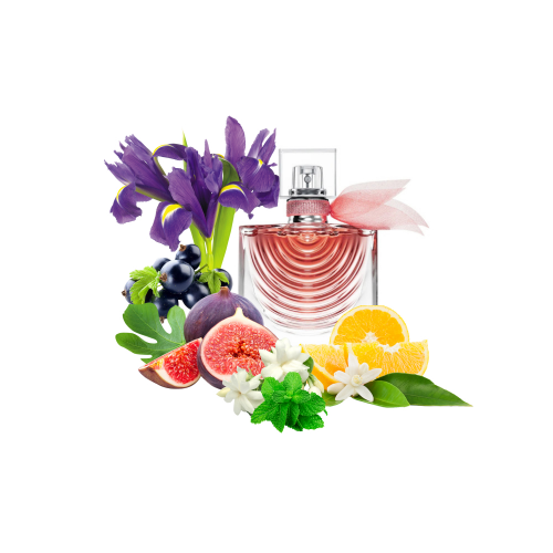 Концентрат NICE IRIS (Альтернатива LANCOME-LA VIE EST BELLE IRIS ABSOLU) 100 мл