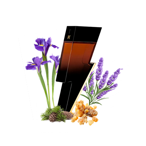 Концентрат BAD GUY ELIXIR (Альтернатива CAROLINA HERRERA BAD BOY ELIXIR) 100 мл