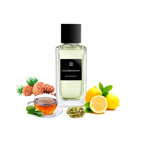 Концентрат AUDACE (Альтернатива GIVENCHY DÉSOBÉISSANT) 100 мл