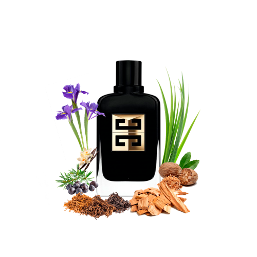 Концентрат LUMINARY ESSENCE (Альтернатива GIVENCHY GENTLEMAN SOCIETY AMBREE) 100 мл