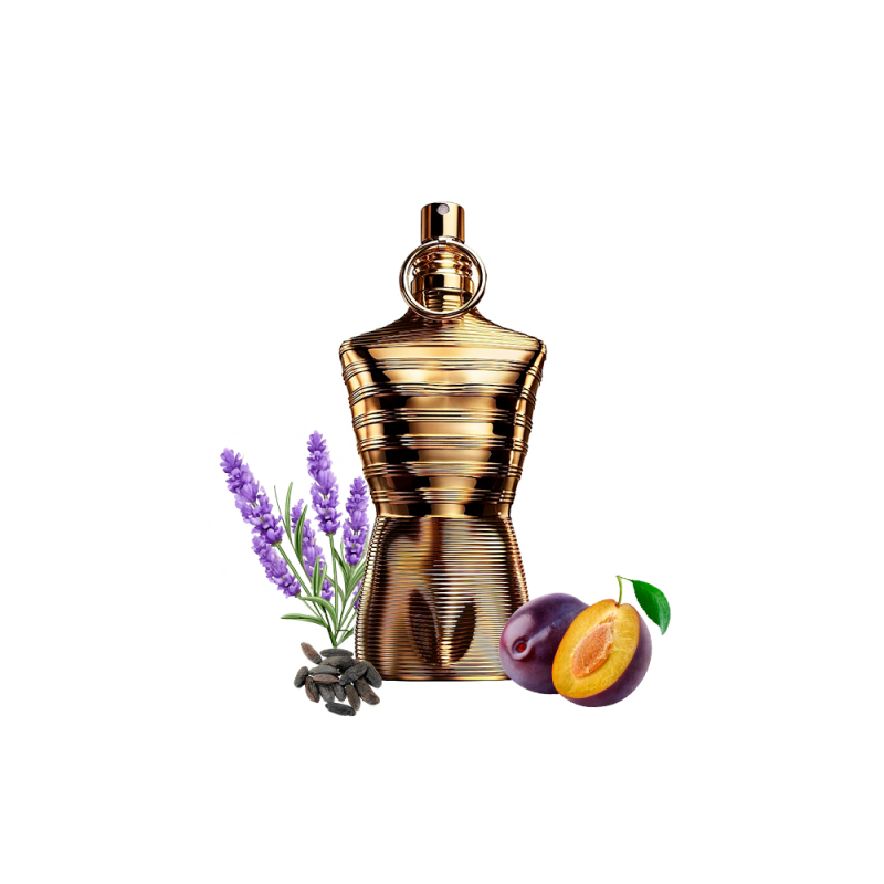 Концентрат LEPAUL ABSOLU (Альтернатива JEAN PAUL GAULTIER LE MALE ELIXIR ABSOLU) 100 мл