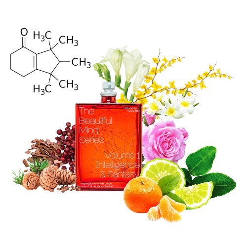 Концентрат MOLECULE VOL 1 (Альтернатива ESCENTRIC MOLECULES - THE BEAUTIFUL MIND SERIES INTELLIGENCE & FANTASY) 100 мл