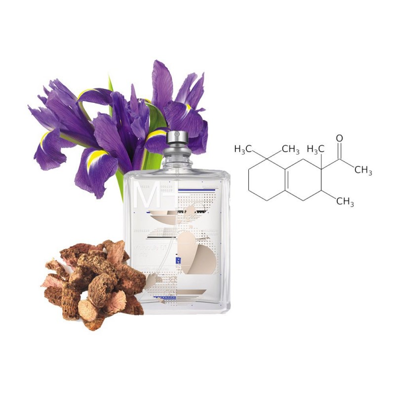 Концентрат PARTICLE IRIS  (Альтернатива ESCENTRIC MOLECULES-MOLECULE 01 + IRIS) 100 мл