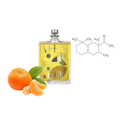Концентрат PARTICLE MANDARIN  (Альтернатива ESCENTRIC MOLECULES-MOLECULE 01 + MANDARIN) 100 мл