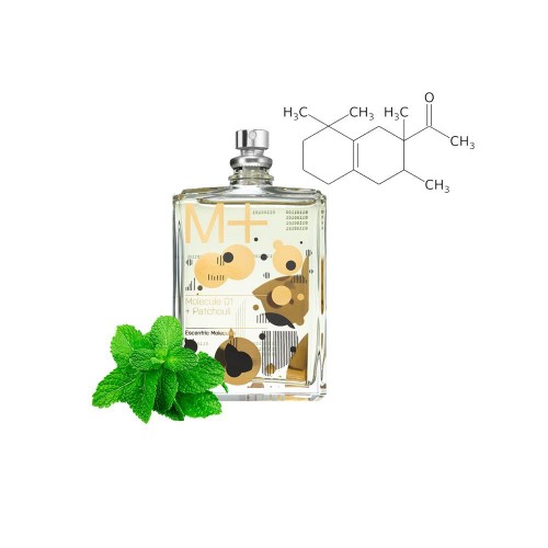 Концентрат PARTICLE PATCHOULI  (Альтернатива ESCENTRIC MOLECULES-MOLECULE 01 + PATCHOULI) 100 мл
