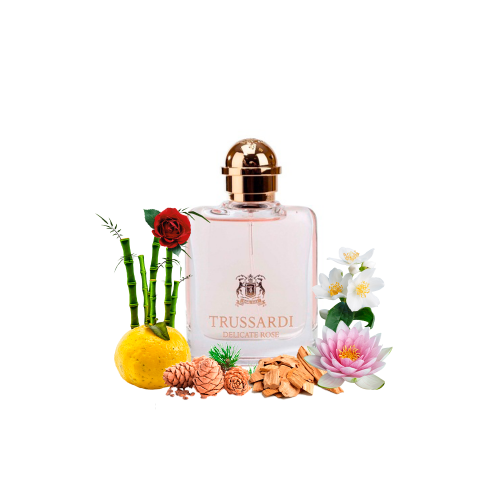 Концентрат DELICAT ROSE (Альтернатива TRUSSARDI DELICATE ROSE) 100 мл