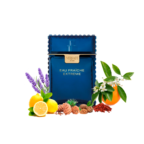 Концентрат OCEAN EDGE (Альтернатива VERSACE MAN EAU FRAICHE EXTREME) 100 мл