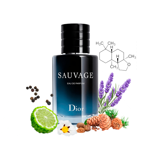Концентрат WILDER ESSENCE (Альтернатива DIOR SAUVAGE EAU DE PARFUM 2025) 100 мл