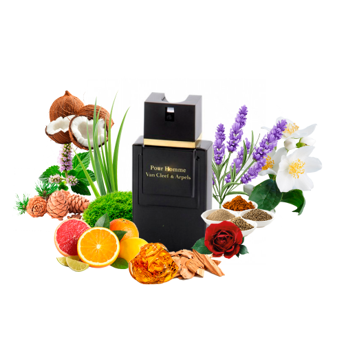 Концентрат CEDAR PARAGON (Альтернатива VAN CLEEF & ARPELS POUR HOMME EDP) 100 мл